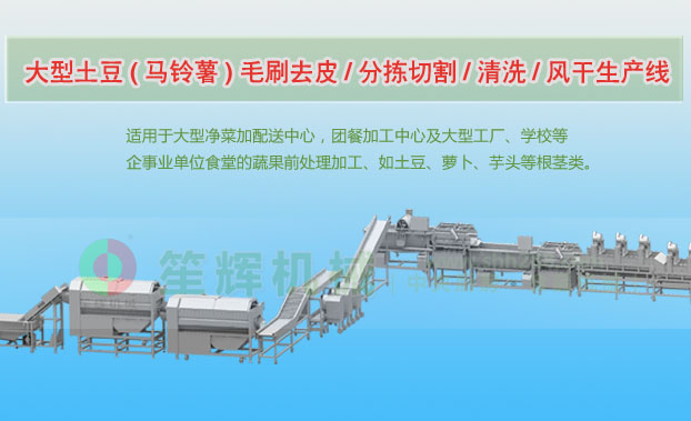 舒城连续式土豆去皮清洗切割风干生产线